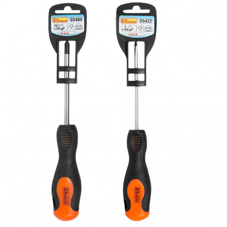 Screwdriver T10 x 100 mm