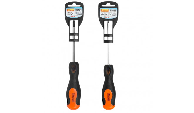 Screwdriver T10 x 100 mm