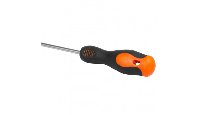 Screwdriver PZ1 x 100 mm