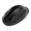 KENSINGTON K75404EU Kensington Pro Fit Ergo Wireless Mouse - Black