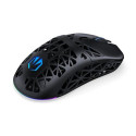 ENDORFY EY6A016 mouse Gaming Right-hand Bluetooth Optical 26000 DPI