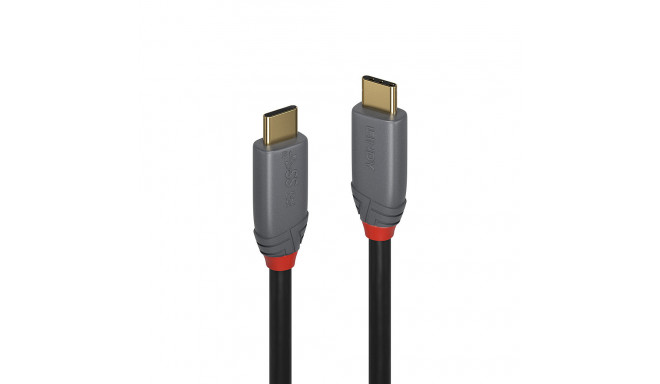 LINDY USB 3.1 Kabel Typ C/C 5A PD Anthra Line M/M 1m