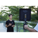 Godox FH50Bi Flexible Handheld LED light
