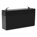 Maintenance-free AGM VRLA Battery Green Cell AGM13 6V 1.3Ah (for alarm system, cash register, toy)