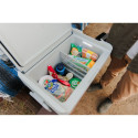 Portable cooler IGLOO ICF 40 12/230V