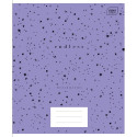 Kaustik 165x208 48 lehte, 23joont, Metallic assortii Interdruk