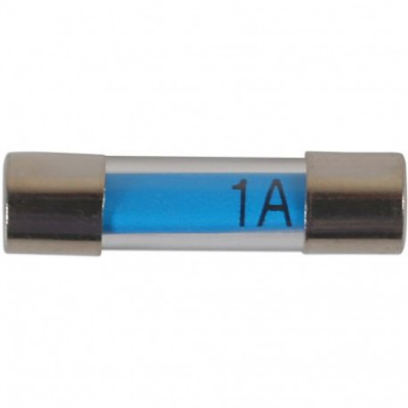Klaaskaitse MINI 1 Amp