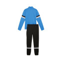 Puma Team Rise Jr Tracksuit 658655 02 (164cm)