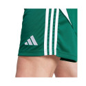 Adidas Tiro 24 M IS1410 shorts (2XL)