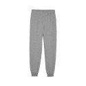 Puma Team Goal Jr pants 658601 06 (128cm)