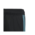 Adidas Tiro 23 Club Training Jr IC1588 pants (164cm)