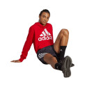 Adidas Essentials French Terry Big Logo Hoodie M IC9365 (2XL)