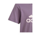 Adidas Essentials Big Logo Cotton Tee Jr IJ7061 (152cm)