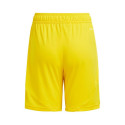 Adidas Tiro 24 Jr IT2410 shorts (164cm)