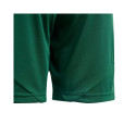 Adidas Tiro 24 Jr IT2409 shorts (128cm)