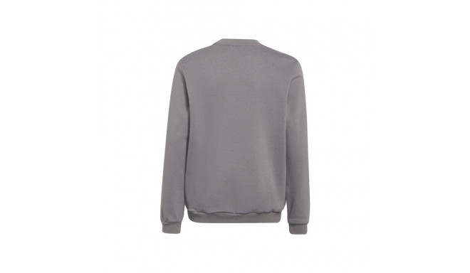 Adidas Entrada 22 Sweat Top Jr H57477 (128)