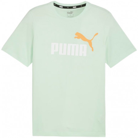 Puma meeste särk ESS+ 2 Col Logo Tee 586759 88 S, mündiroheline
