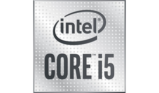 Intel Core i5-10400 processor 2.9 GHz 12 MB Smart Cache Box