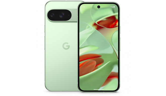 "Google Pixel 9 256GB 12RAM 5G Wintergreen"