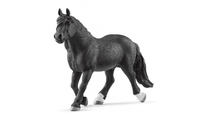 Schleich Horse Club 13958 Norra külmavereline täkk