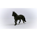 Schleich Horse Club 13958 Noricuminhevosori