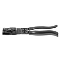 Klambrite tangid