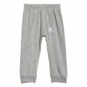 Laste Spordikostüüm Jogger Adidas Punane - 6-9 kuud