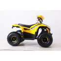 ATV ELF750 kollane, elektrimootor 750W