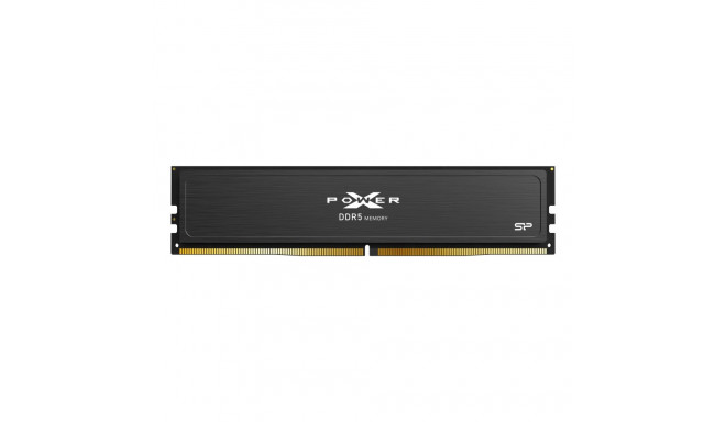 Silicon Power XPOWER Pulse Gaming memory module 32 GB 1 x 32 GB DDR5 5600 MHz ECC (SP032GXLWU560FSJ)