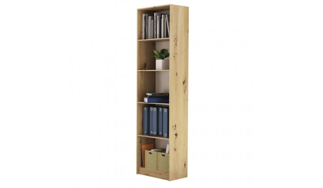 Topeshop R50 ARTISAN office bookcase