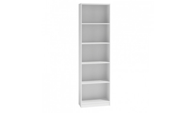 Topeshop R40 BIEL office bookcase