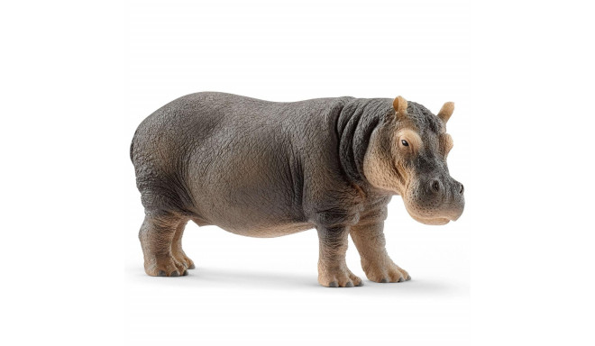 SCHLEICH WILD LIFE Jõehobu