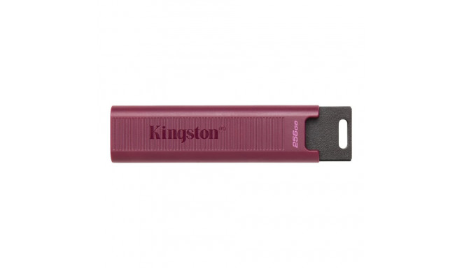 KINGSTON 256GB USB3.2 TypeA mälupulk