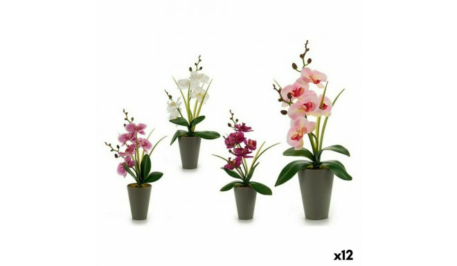 Decorative Plant Orchid Plastic 8 x 35 x 14 cm (12 Units)