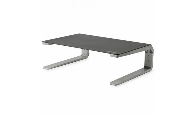 Raiser Startech MONSTND Silver