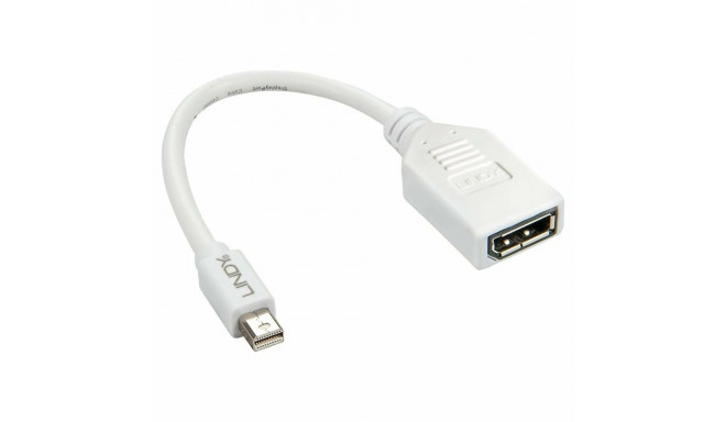 Mini DisplayPort-DisplayPort Adapter LINDY 41021 Valge