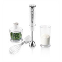 ETA | Hand blender | ETA305790000 RIZZO | Hand Blender | 400 W | Number of speeds 5 | Turbo mode | C