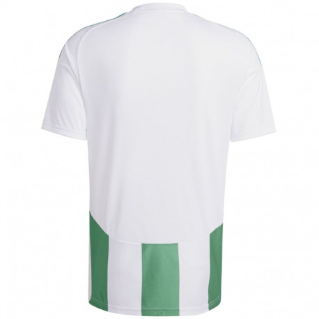 Adidas meeste särk Striped 24 Jersey IW2148 S, valge-roheline