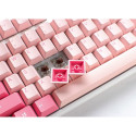 Ducky One 3 TKL keyboard Gaming USB QWERTY English Pink