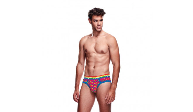 Classic underpants Envy Multicolour L/XL