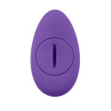 Bullet Vibrator Playboy Purple