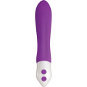 Bullet Vibrator Evolved Purple