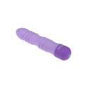 Bullet Vibrator Evolved Purple