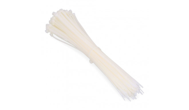 Nylon Cable Ties Fischer BN Natural 43 cm (100 Units)