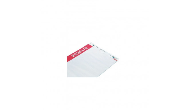 Pad for conferences Esselte, 59x80 cm, 60 g white (50) 0715-008