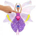 Barbie™ Dreamtopia muunduv liblikaprintsess