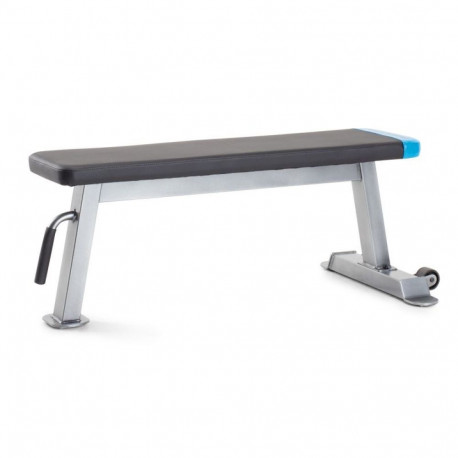 Proform Carbon Strength PFBE09620 Recumbent Bench