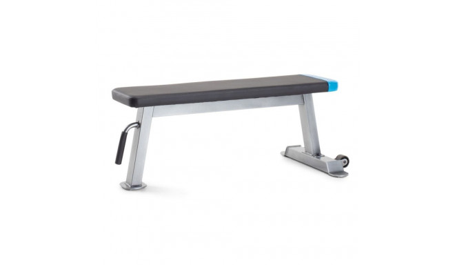 Proform Carbon Strength PFBE09620 horizontal bench