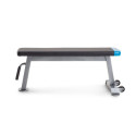 Proform Carbon Strength PFBE09620 horizontal bench