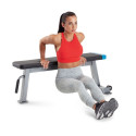 Proform Carbon Strength PFBE09620 horizontal bench